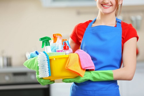 Camberwell Carpet Cleaners professional carpet care introduction
