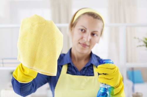 Investigation stage for a carpet cleaning complaint