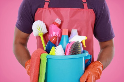 Pet stain odour removal in Camberwell on carpeted living room area