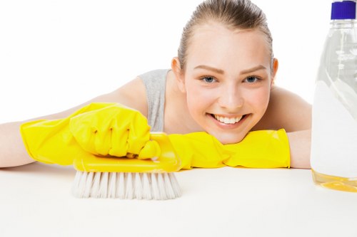 Carpet cleaning service terms and booking details