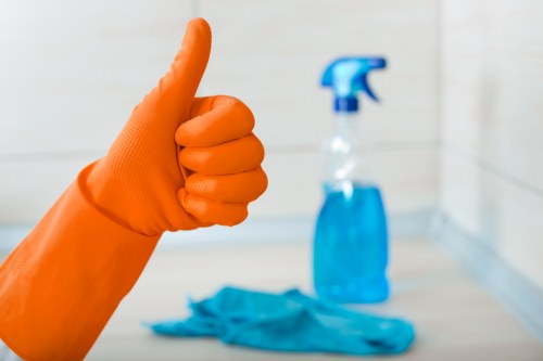 Professional carpet cleaning in a Camberwell home lounge room