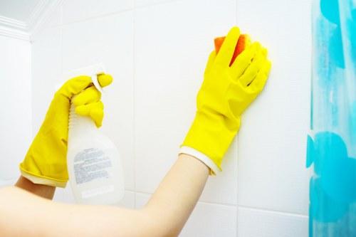 Professional carpet cleaning process and fabric care in Camberwell
