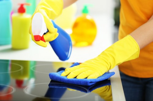 Supervisor reviewing workplace safety procedures during a cleaning job