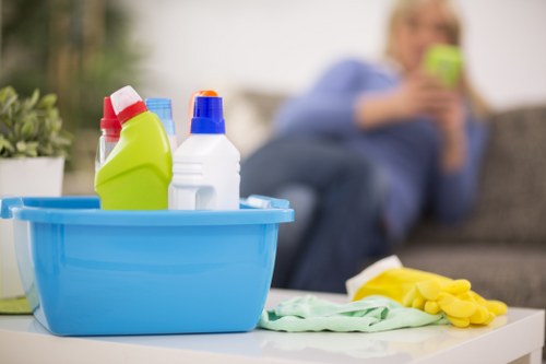 Enzyme treatment for pet urine stains in Camberwell home