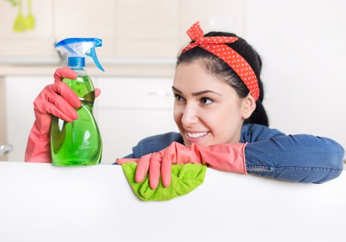 Deep carpet extraction for pet stain odour removal in Camberwell
