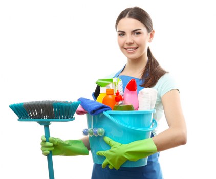 Governing law and general legal terms for carpet cleaning services
